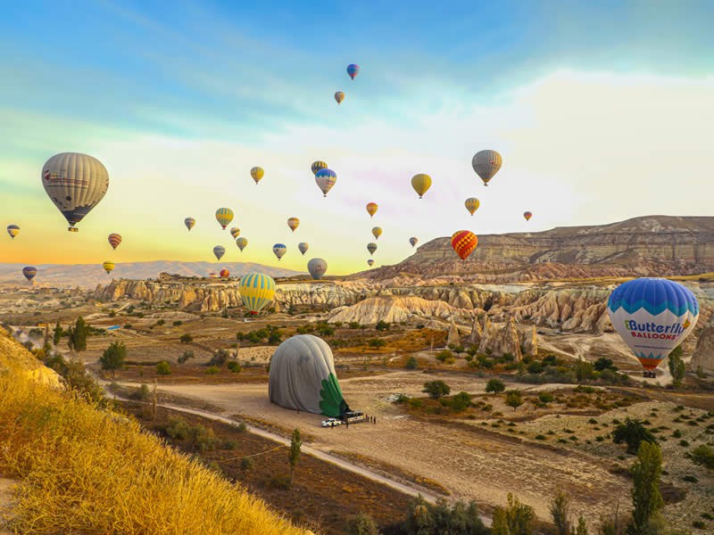 Standart - Sunrise Flight - 11